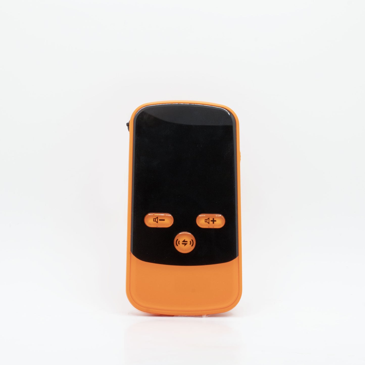 Digital Ginko (receiver)