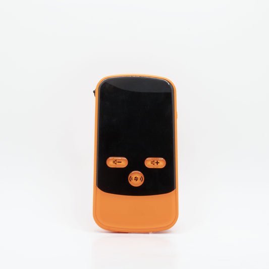 Digital Ginko (receiver)
